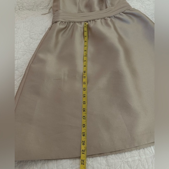 Backless Adrianna Papell, champagne, formal dress. Gorgeous. size 12 - Picture 8 of 16